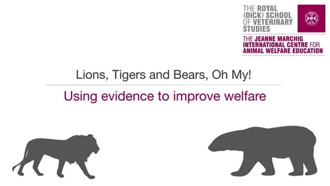 Thumbnail for Animal Welfare 5-3 Using Evidence To Improve Welfare.mp4