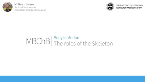 Thumbnail for Role of the skeleton