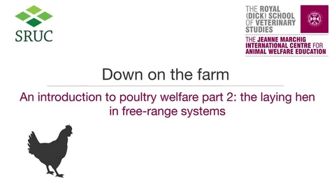 Thumbnail for entry Animal Welfare 4-3b The Hen in Free-Range Systems.mp4