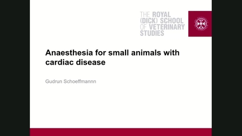 Thumbnail for entry Clinical Club Anaesthesia for animals with cardiovascular disease
