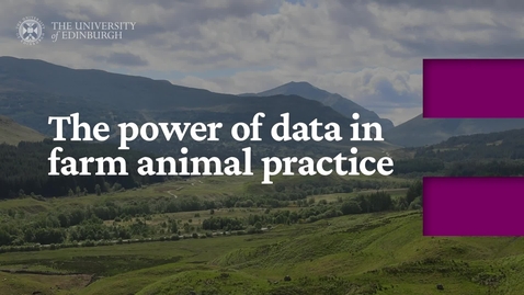 Thumbnail for entry The Power of Data in Farm Animal Practice Promo Video