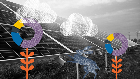 Thumbnail for Decarbonising Computing Science: Making Sustainability a key component of our curriculum