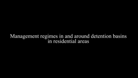 Thumbnail for Management regimes in and around detention basins in residential areas