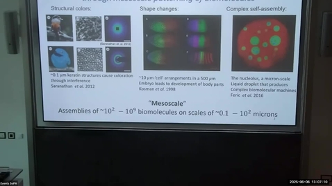 Thumbnail for Imaginary Biology: Exploring Long-range Structures in DNA-Based Condensates