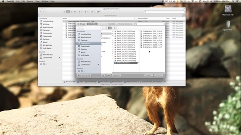 Thumbnail for Versioning
