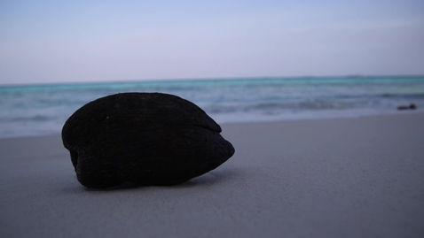Thumbnail for The student experience: Maldives 2019, MSc Marine Systems and Policies