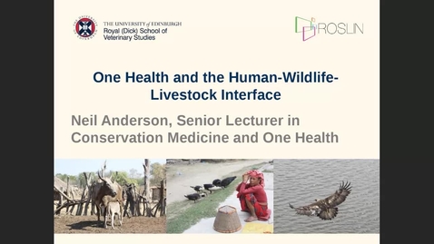 Thumbnail for entry One Health and the Human-Wildlife-Livestock Interface