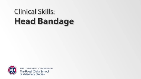Thumbnail for Bandaging Class - Head Bandage