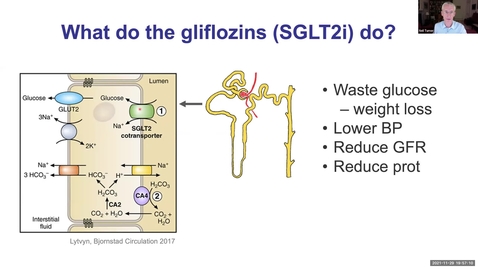 Thumbnail for Treatment of Alport Syndrome 2022