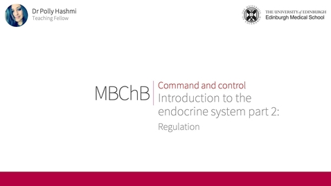 Thumbnail for Intro to the endocrine system: regulation