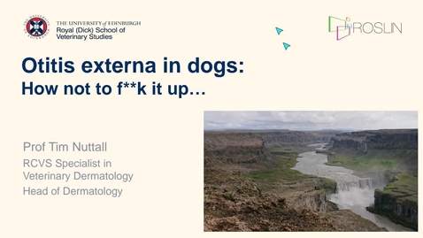 Thumbnail for Vet Clinical Club - Tim Nuttall - 2nd October 2024