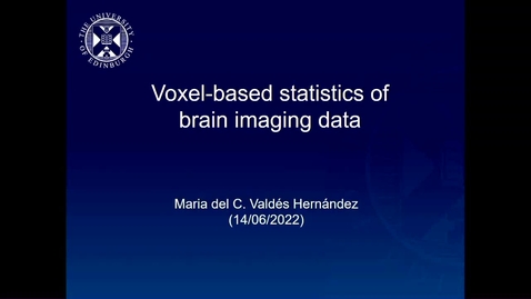 Thumbnail for Voxel-based statistics of brain imaging data