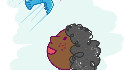 Thumbnail for Playful Engagement video 007 (12 sec loop)