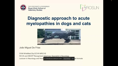Thumbnail for Vet Clinical Club - Joao Miguel De Frias - 4th December 2024