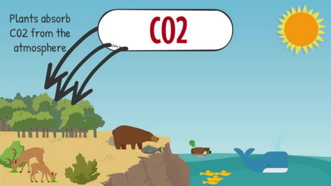 Thumbnail for The Carbon Cycle