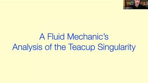 Thumbnail for A fluid mechanic's analysis of the teacup singularity - Dwight Barkley