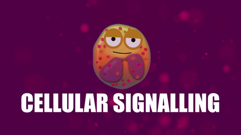 Thumbnail for entry Supercytes - How to say 'Cellular signalling'