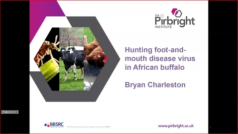 Thumbnail for entry Hunting foot-and-mouth disease virus in African buffalo - Professor Bryan Charleston