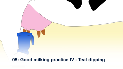 Thumbnail for entry 05 Good Milking Practice IV - Teat Dip - Oromiya