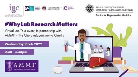 Thumbnail for Why Lab Research Matters