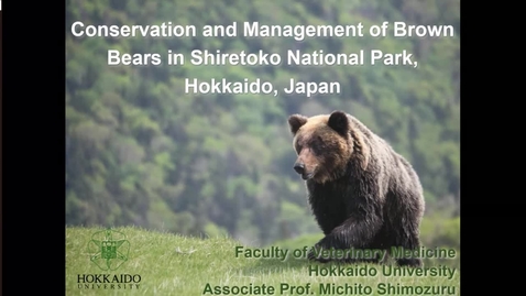 Thumbnail for entry Conservation and Management of Brown Bears in Shiretoko National Park