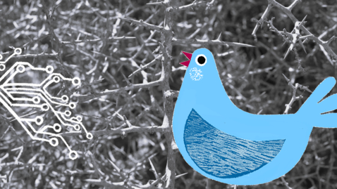 Thumbnail for Ingrid Forsler: The Digital Backlash in Education: Panic, Politics, or Pedagogy?