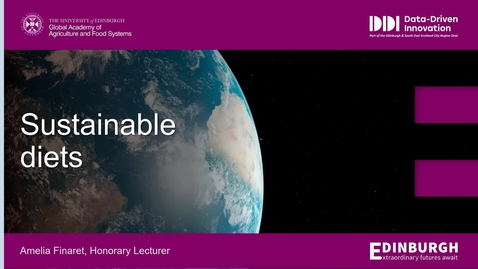 Thumbnail for Sustainable diets
