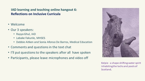 Thumbnail for IAD Learning and Teaching Online Hangout - Reflections on Inclusive Curricula