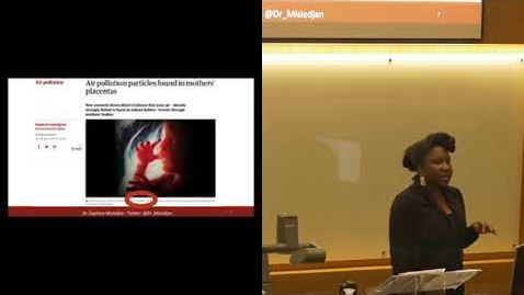 Thumbnail for Brodies Environmental Law Lecture: Dr Daphina Misiedjan