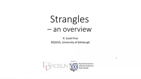 Thumbnail for Equine Client Evening: Strangles - an overveiw (captioned)