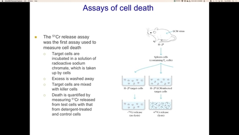 Thumbnail for entry Assays of cell death