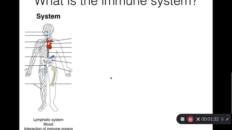 Thumbnail for entry The immune system: introduction &amp; overview, part 2