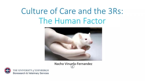 Thumbnail for Culture of Care and the 3Rs: The human factor