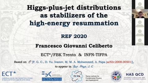 Thumbnail for REF2020: Francesco Giovanni Celiberto- Higgs-plus-jet distributions as stabilizers of the high-energy resummation