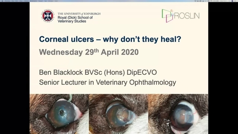 Thumbnail for entry Corneal ulcers - why don't they heal recording 29.04.20