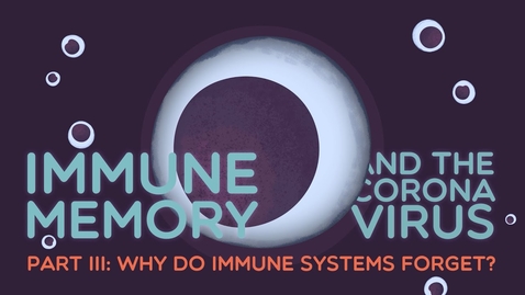 Thumbnail for entry Immune Memory &amp; the Coronavirus Part III: Why do immune systems forget?