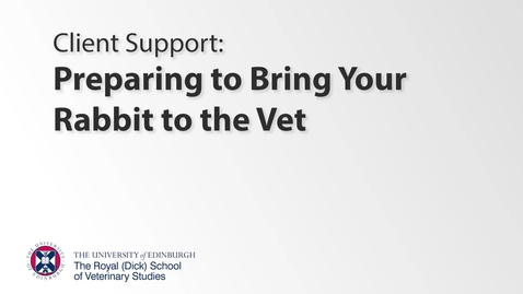Thumbnail for Client Support- Rabbit Preparation for Vet Visit