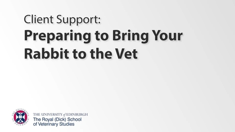 Thumbnail for entry Client Support- Rabbit Preparation for Vet Visit