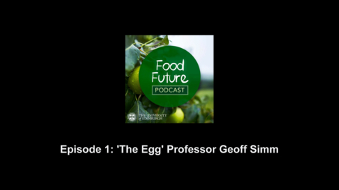 Thumbnail for Interview with Geoff Simm