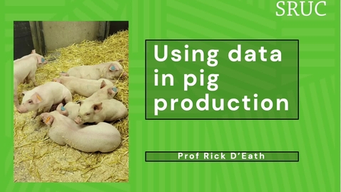 Thumbnail for Data-driven KPIs for the pig sector