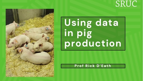 Thumbnail for entry Data-driven KPIs for the pig sector