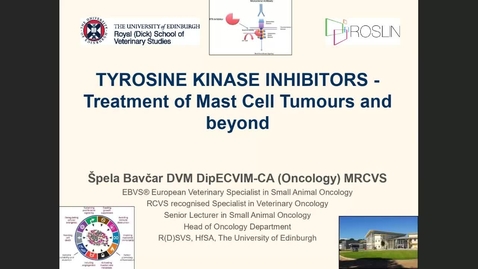 Thumbnail for entry Clinical Club 2nd June 2021 - Tyrosine Kinase Inhibitors - treatment of Mast Cell Tumours and beyond