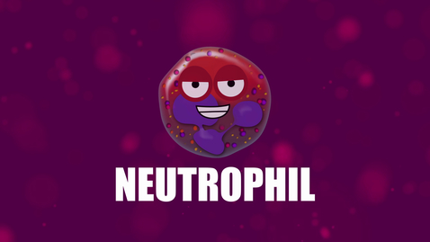 Thumbnail for entry Supercytes - How to say 'Neutrophil'