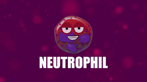 Thumbnail for Supercytes - How to say 'Neutrophil'