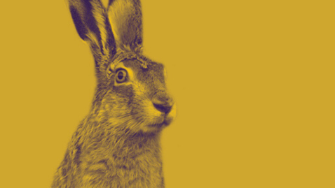 Thumbnail for Foundations Week 8: The Power of Personalisation