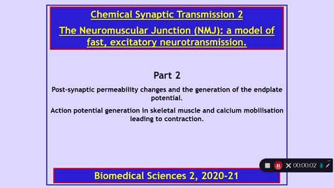 Thumbnail for BMS2 Chemical Synaptic Transmission 2 Part 2  Dr Phil Larkman
