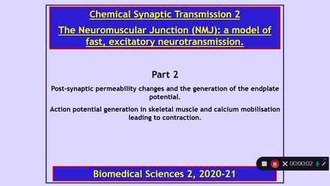 Thumbnail for entry BMS2 Chemical Synaptic Transmission 2 Part 2  Dr Phil Larkman