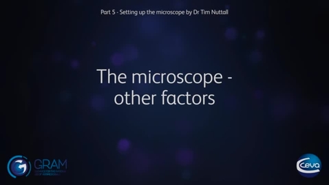 Thumbnail for 4 - Other factors when using microscopes