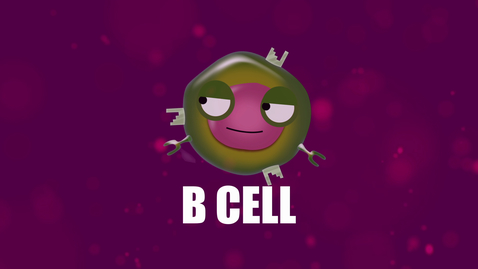 Thumbnail for entry Supercytes - How to say 'B cell'