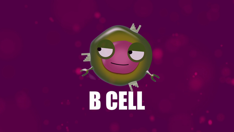 Thumbnail for Supercytes - How to say 'B cell'